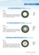 中心束管式轻铠光缆GYXTW